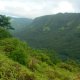 63- Vallee de Taipivai 